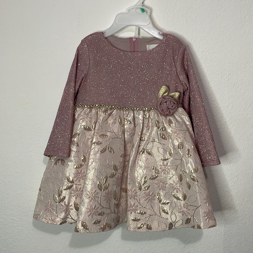 Baby Girl Sparkly Long Sleeve Dress